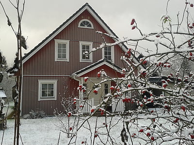 冬, ホーム, 雪に覆われました。, ローズヒップ