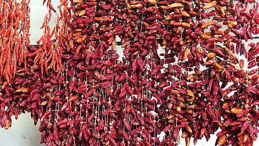 chillis, red, market, food, pepper, spice, dry
