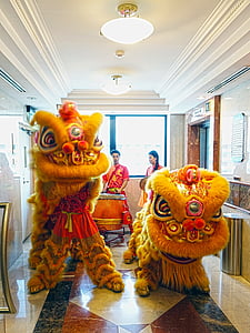 Lion dance, Trung Quốc, truyền thống, năm mới, may mắn, nhảy múa, Châu á