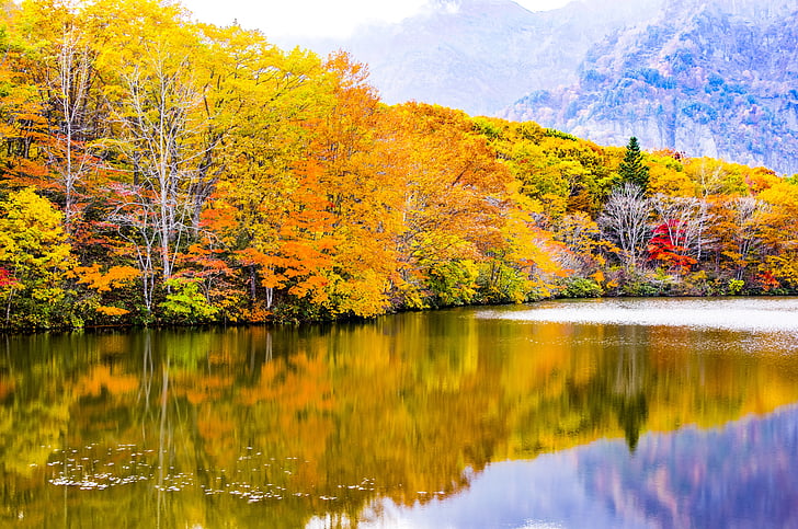 Japonsko, kagamiike, Togakushi, podzimní listí, Nagano, Shinshu, Prefektura Nagano