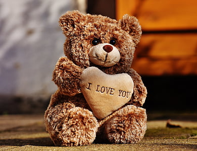 泰迪, 爱, 毛绒, 甜, 熊, 可爱, 浪漫