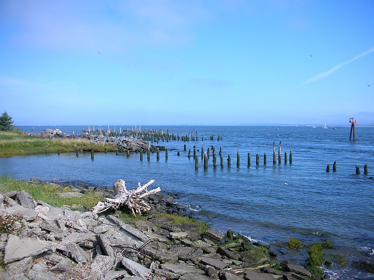 Astoria, molo vecchio, Dock, mucchio, Columbia river, legno alla deriva