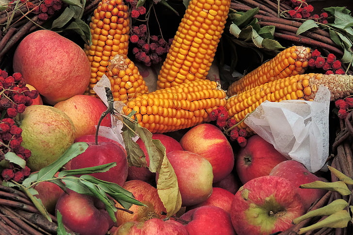 Padėkos, kukurūzų, obuolių, krepšys, rudens puošmena, apdaila