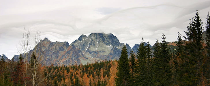 Vysoké tatry, Panorama, Slovakien, moln, bergen, naturen, skogen