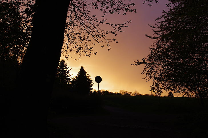 Allemagne, coucher de soleil, Forest, bord