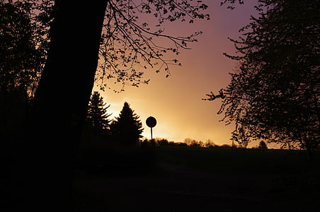 Alemania, puesta de sol, bosque, borde