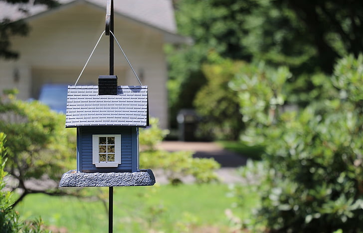 birdhouse, bird house, small, yard, focus on foreground, no people, day