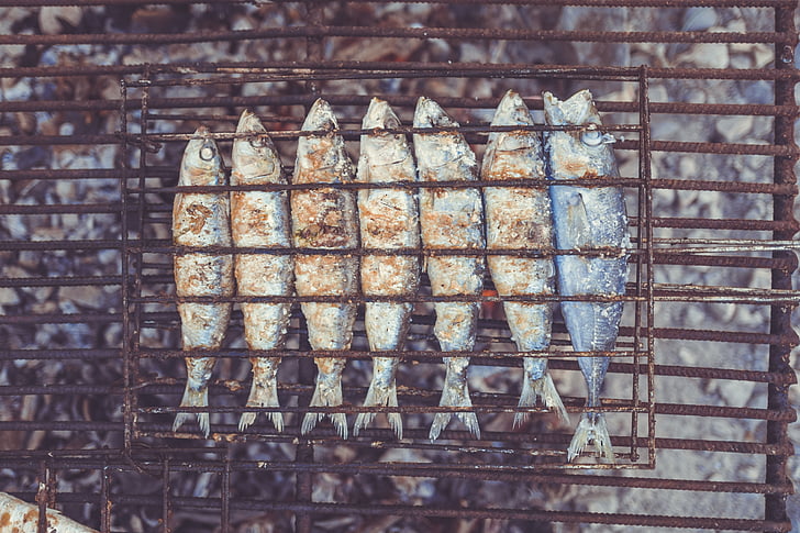 dead fish, fish, dead, animal, rusted, grilled, food