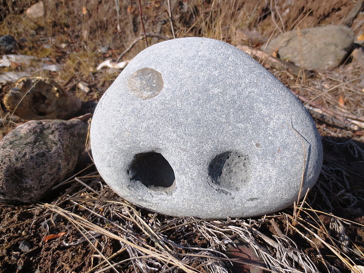 Rock, kivi, nägu, neerukivide, loodus, Ülemjärv, Lakeside