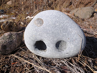 바위, 돌, 얼굴, 돌 대형, 자연, 슈피리어 호, 레이크 사이드