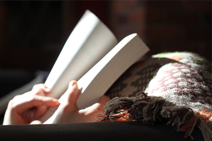 person, holding, book, reading, indoors, adult, human hand