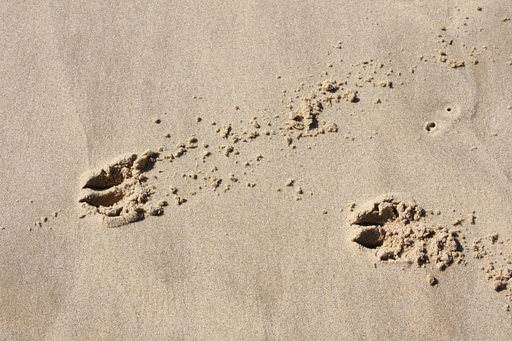 fingerprints, sand, traces