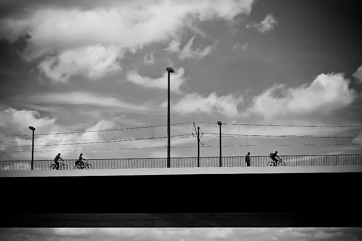 architecture, pont, Rhin, pont suspendu, Düsseldorf, Ouvrages d’art, noir blanc