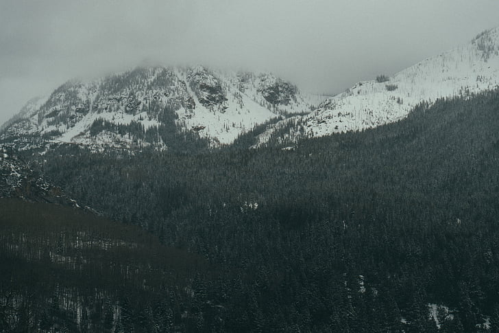 cold, forest, mountain, nature, snow, trees, winter