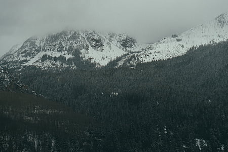 lumi, pealt kaetud, mägi, talvel, Alp, Aspen, loodus