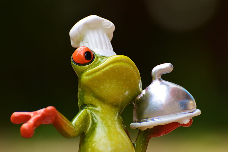 青蛙, 烹饪, 吃, 厨房, 美食, 食品, 制备