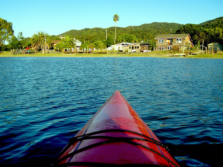 kayak, creek, water, river, kayaking, outdoors, paddling