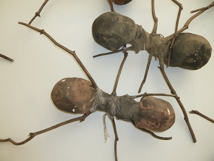 Ameisen, hölzerne Ameisen, Ant-Kunst