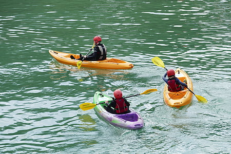 boats, rowing, water, row, lake, river, summer