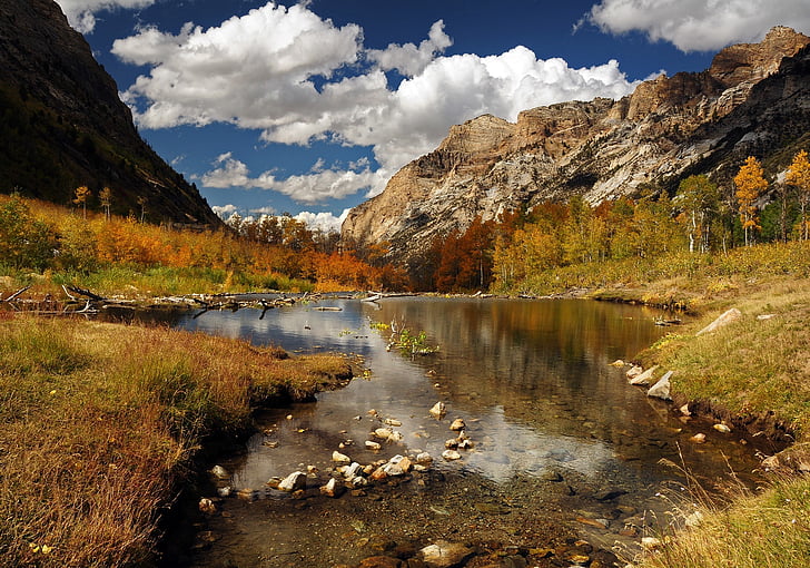 landskap, natursköna, hösten, Beaver pond, vatten, reflektion, lugn