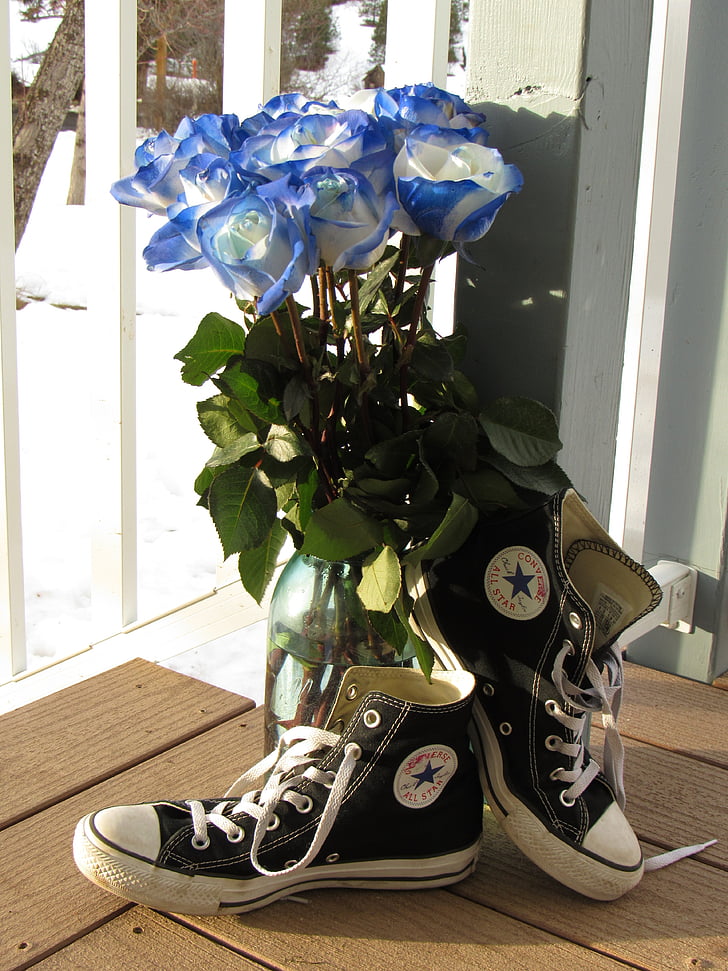 roses, bouquet, rose bleue, chaussures, Converse, fleur, toutes les étoiles