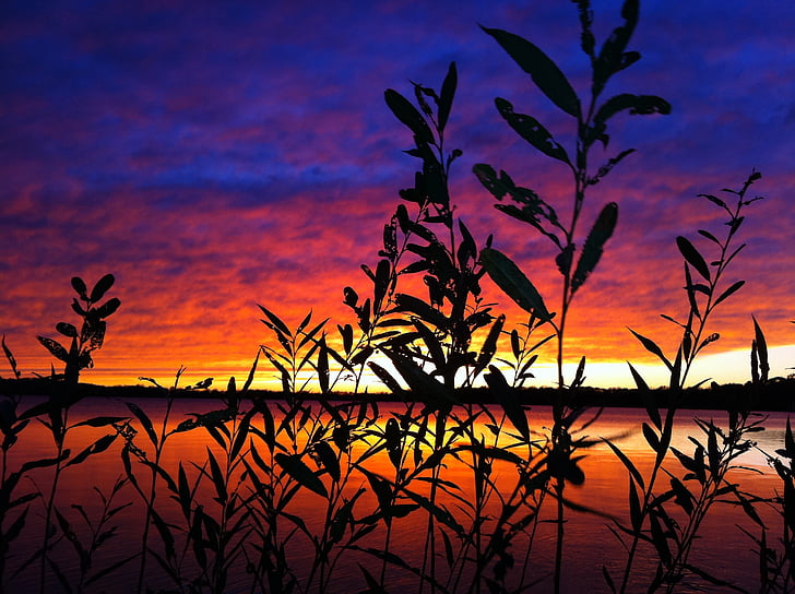 saulriets, Wisconsin, pilnvaras ezers, mākoņi, Midwest, krāsa, ūdens