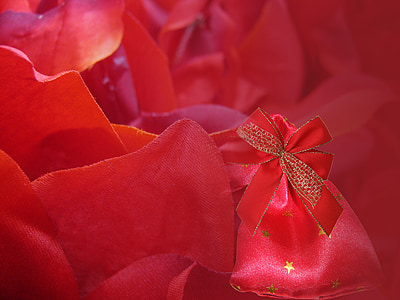 decoration, christmas, background, red, poinsettia
