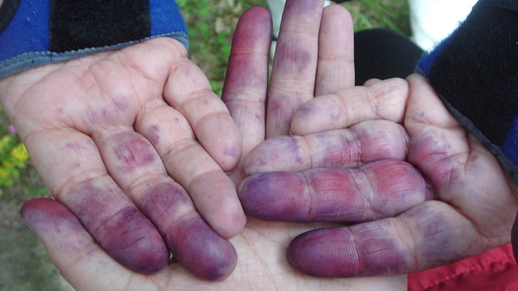 hands, summer, dirty, fruit, human Hand, people, senior Adult