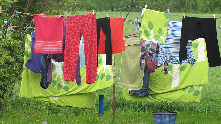tvätt, kläder, grön, sommar