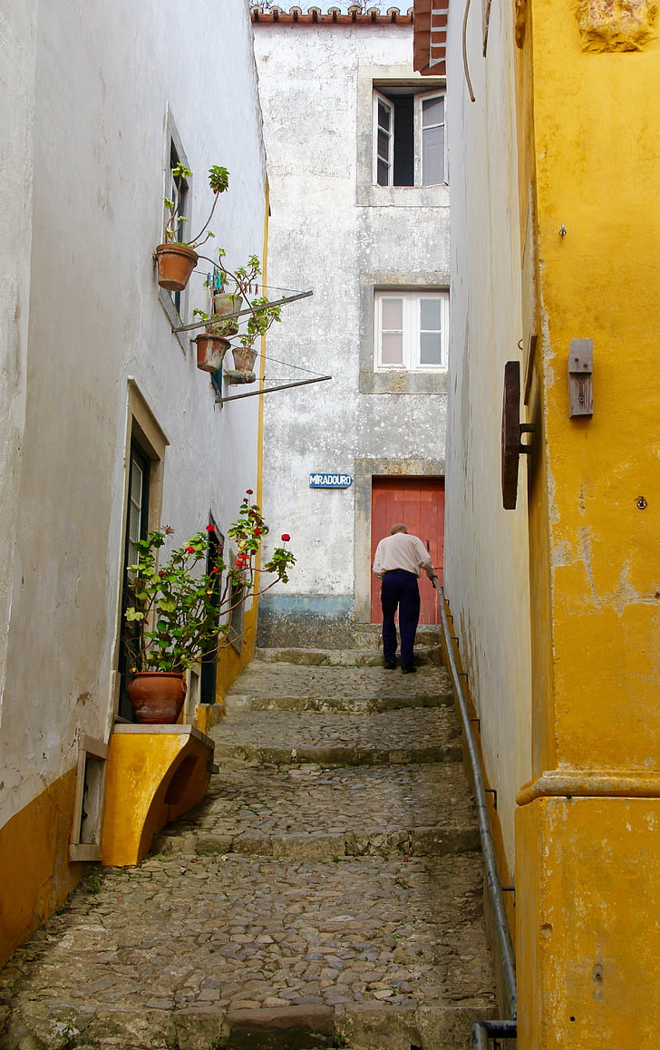 Portugāle, miradouro, vecums, pa kāpnēm, dzīves, krāsas, ziedi