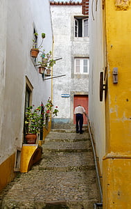 Portugalija, Miradouro, amžiaus, laiptai, gyvenimo, spalvos, gėlės