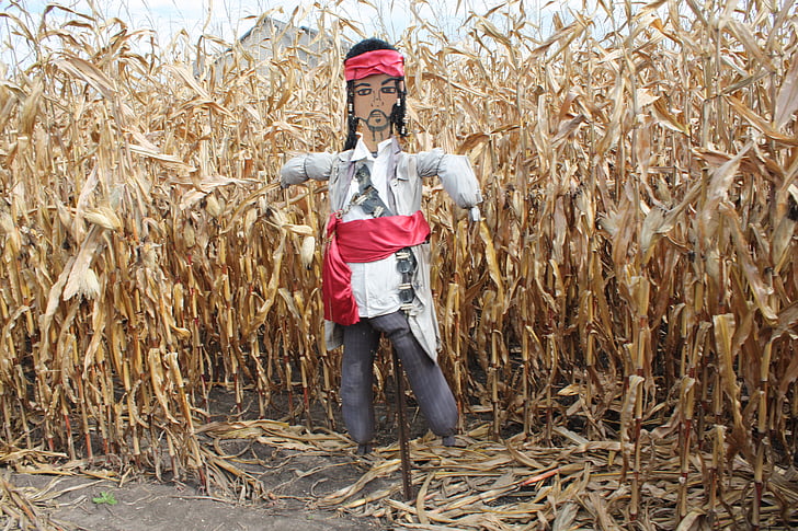 scarecrow, corn, hay, pirate