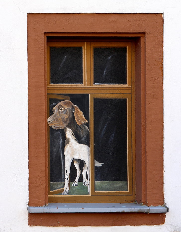 window, illusion, art, facade, painting, funny, humor