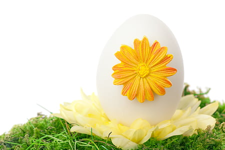 celebração, Cor, decoração, decorativos, Páscoa, ovo, evento