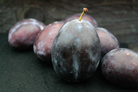 vere prugne, prugne, grande, enorme, frutta, domestica di Prunus domestica subsp, prugna