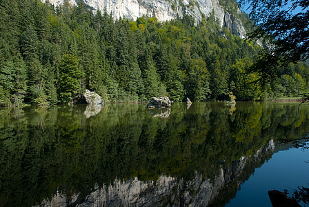 austria, forest, trees, woods, lake, water, reflections