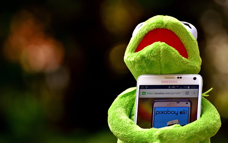 Kermit, broasca, smartphone, Pixabay, bază de date imagini, calculator, Figura