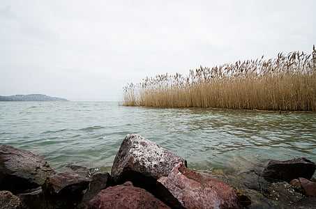 Balaton, Göl, Macaristan