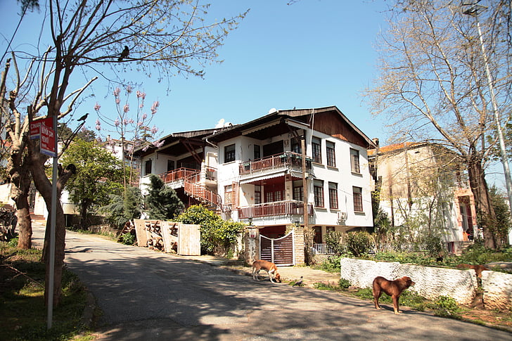 Burgaz, Etusivu, Mansion