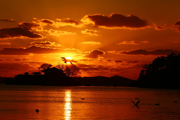 sunset, between the months cancer, seosan, winter, beautiful, silhouette, reflection