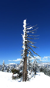 neu, Serra, muntanyes, Califòrnia, pistes d'esquí, vent, temps