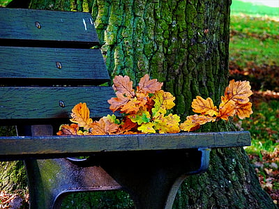 το φθινόπωρο, Φθινοπωρινή βόλτα, Χρυσή φθινόπωρο, πολύχρωμα φύλλα, φύση, φύλλα, χρώματα του φθινοπώρου