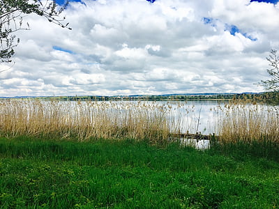lake, zurich, canton, switzerland, clouds, sky, white