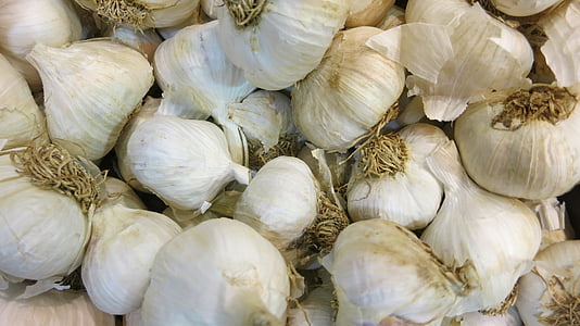 raw garlic, bulbs, fresh, seasoning, whole, food, ingredient