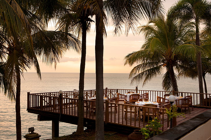 stranden, Beach resort, restaurang, Palm tree, havet, träd, tropiskt klimat