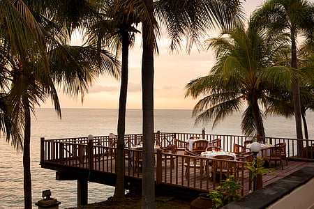 beach, beach resort, restaurant, palm tree, sea, tree, tropical climate