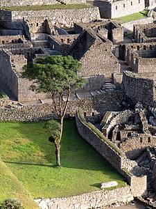 Machu picchu, Perù, Ande, patrimonio mondiale