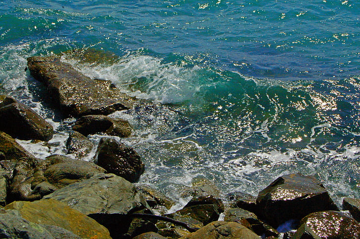 água, oceano, mar, onda, Calma, tranquilo
