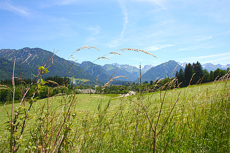 Allgäu, Бавария, Oberstdorf, панорама, планини, докладвани, лято