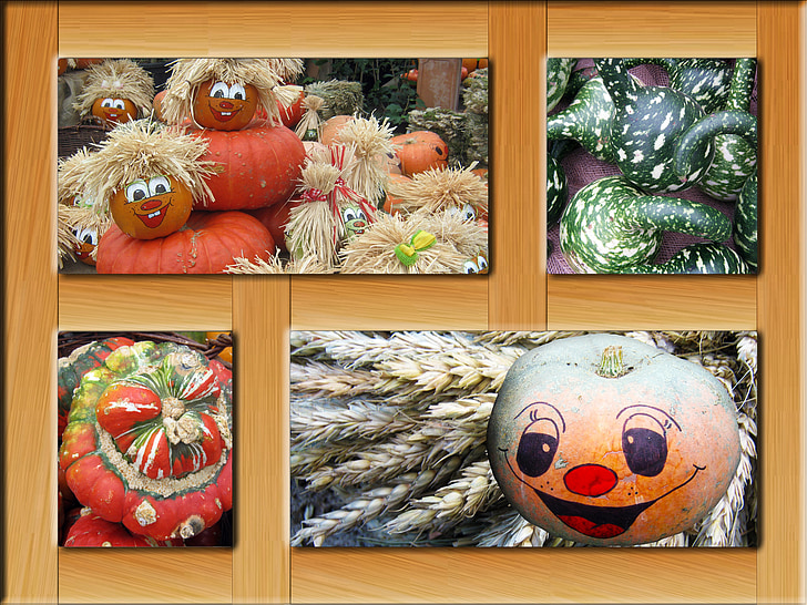 pumpkin, pumpkins, poster, autumn, frame, decoration, colorful